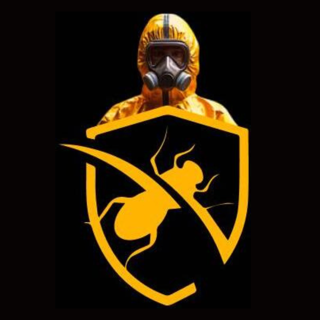 фото: таргетированная реклама для компании по строительству домов